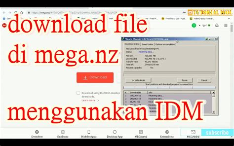 From freelancers to startups and all the way to enterprises, MEGA is the perfect online. . Meganz downloader